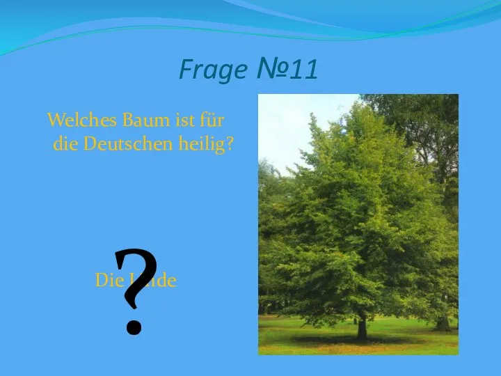 Frage №11 Welches Baum ist für die Deutschen heilig? Die Linde ?