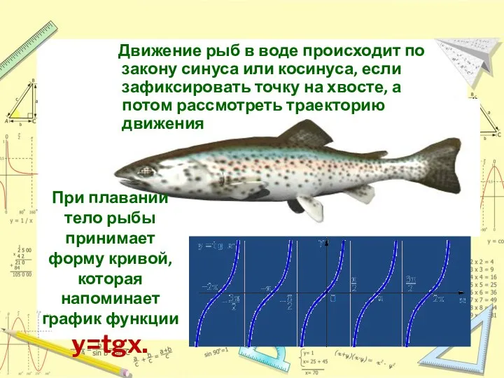 Движение рыб в воде происходит по закону синуса или косинуса, если