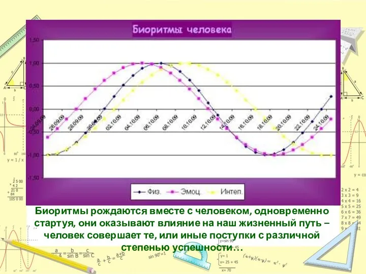 Биоритмы рождаются вместе с человеком, одновременно стартуя, они оказывают влияние на