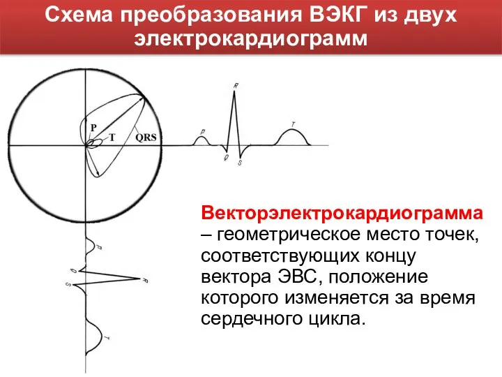 Схема преобразования ВЭКГ из двух электрокардиограмм Векторэлектрокардиограмма – геометрическое место точек,