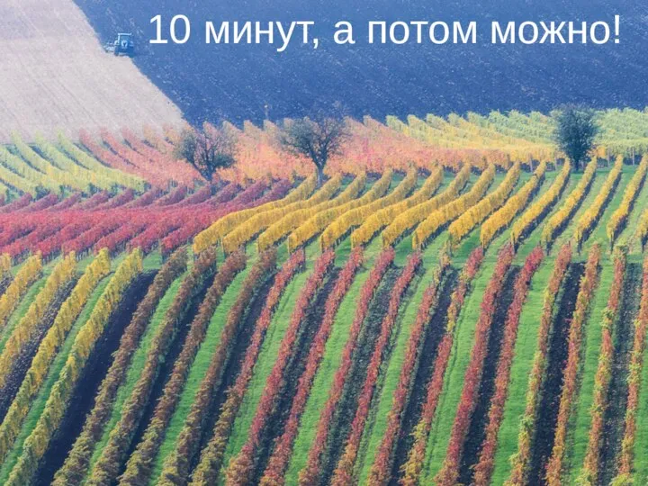 10 минут, а потом можно!