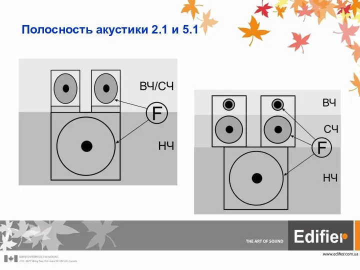 Полосность акустики 2.1 и 5.1