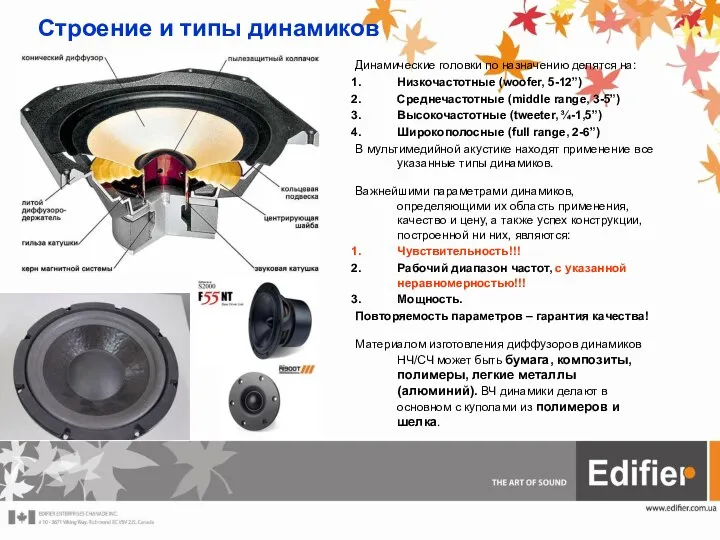 Строение и типы динамиков Динамические головки по назначению делятся на: Низкочастотные