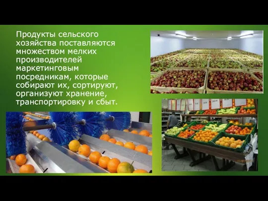 Продукты сельского хозяйства поставляются множеством мелких производителей маркетинговым посредникам, которые собирают