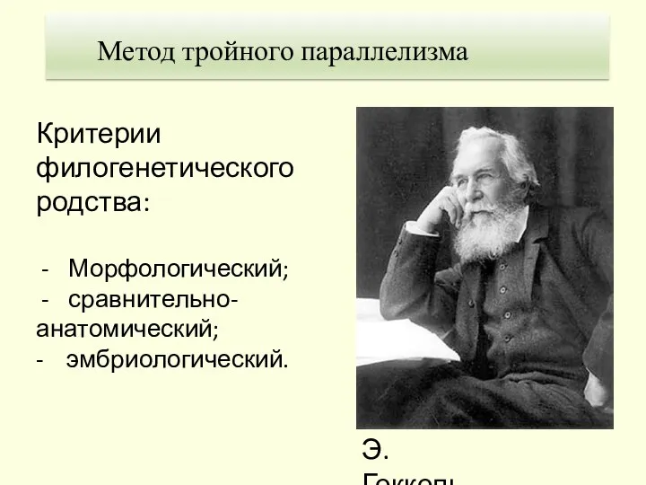 Э. Геккель Критерии филогенетического родства: Морфологический; сравнительно- анатомический; - эмбриологический. Метод тройного параллелизма