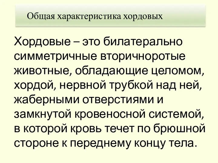 Хордовые – это билатерально симметричные вторичноротые животные, обладающие целомом, хордой, нервной