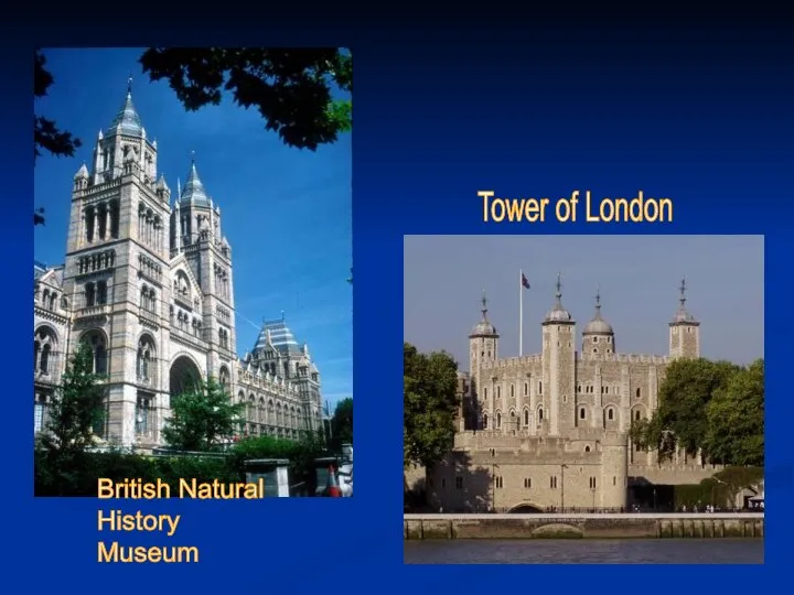 British Natural History Museum Tower of London