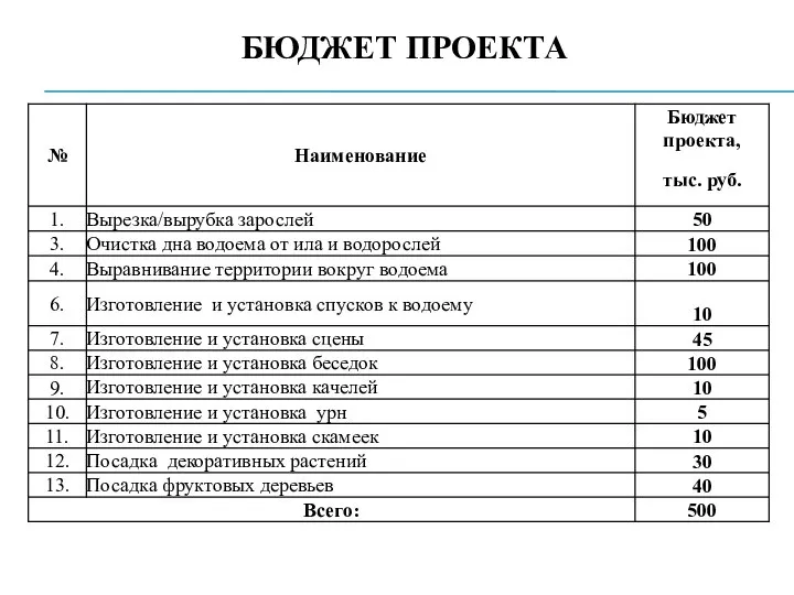 БЮДЖЕТ ПРОЕКТА