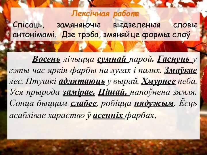 Восень лічыцца сумнай парой. Гаснуць у гэты час яркія фарбы на