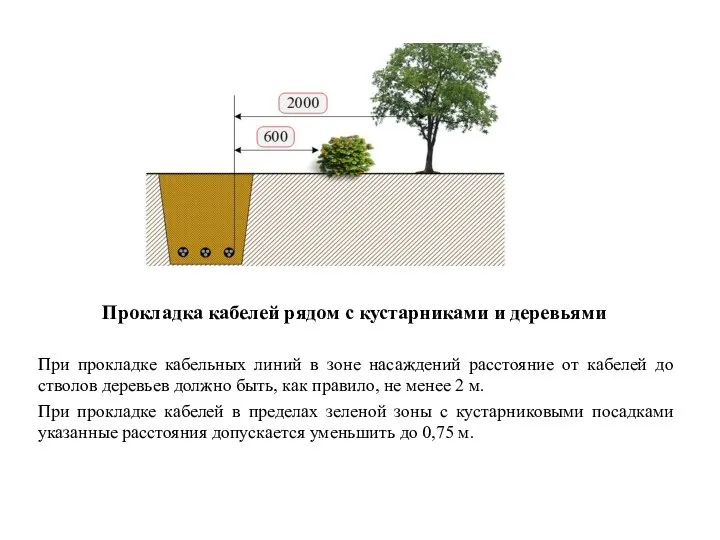 Прокладка кабелей рядом с кустарниками и деревьями При прокладке кабельных линий