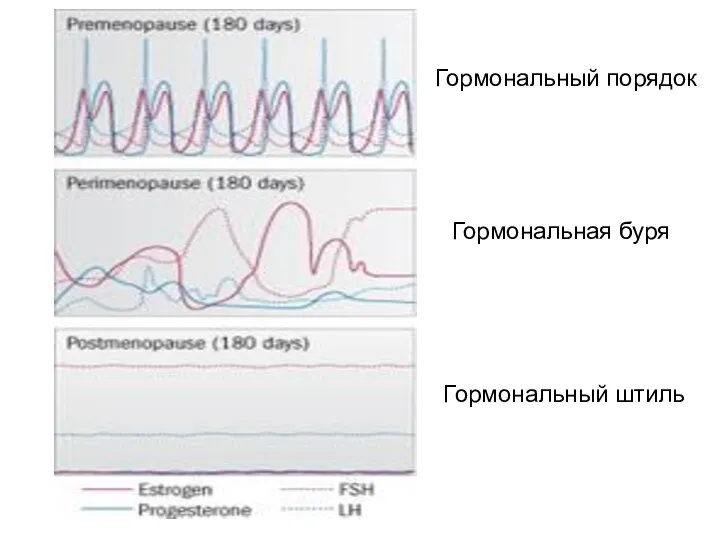 Гормональная буря Гормональный штиль Гормональный порядок