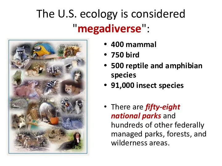 The U.S. ecology is considered "megadiverse": 400 mammal 750 bird 500