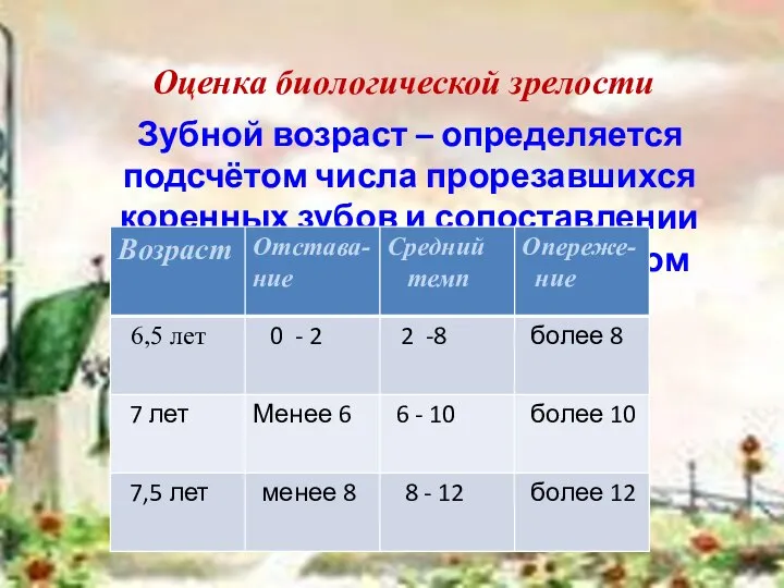 Оценка биологической зрелости Зубной возраст – определяется подсчётом числа прорезавшихся коренных