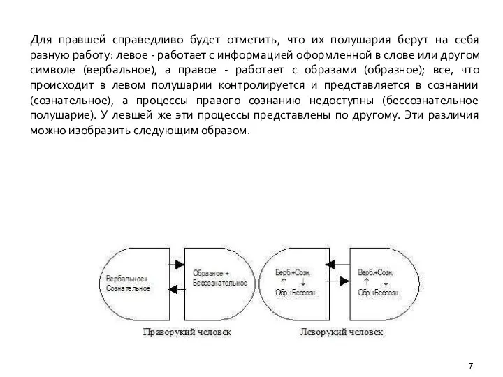 Для правшей справедливо будет отметить, что их полушария берут на себя