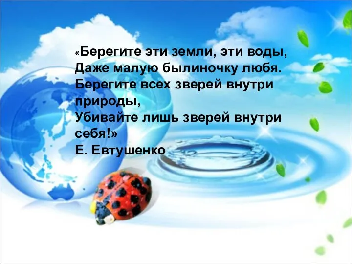 «Берегите эти земли, эти воды, Даже малую былиночку любя. Берегите всех