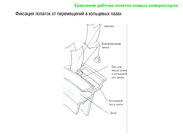 Фиксация лопаток от перемещений в кольцевых пазах Крепление рабочих лопаток осевых компрессоров