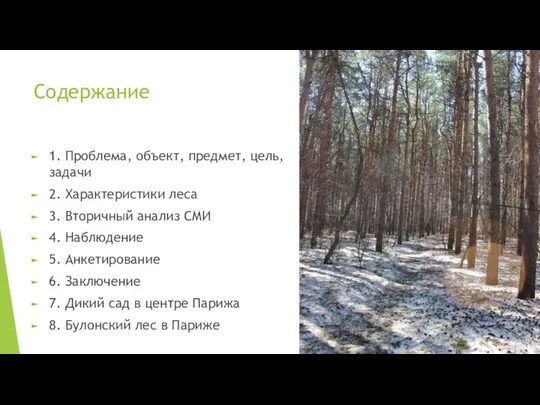 Содержание 1. Проблема, объект, предмет, цель, задачи 2. Характеристики леса 3.