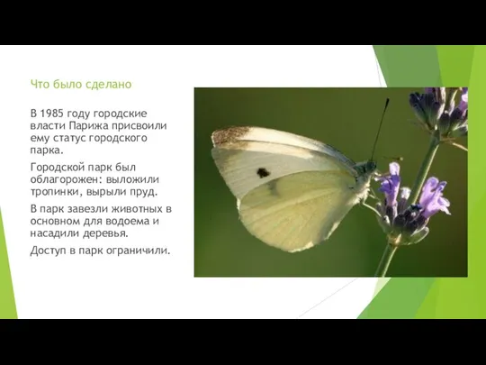 Что было сделано В 1985 году городские власти Парижа присвоили ему