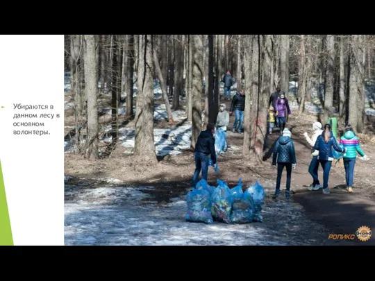 Убираются в данном лесу в основном волонтеры.