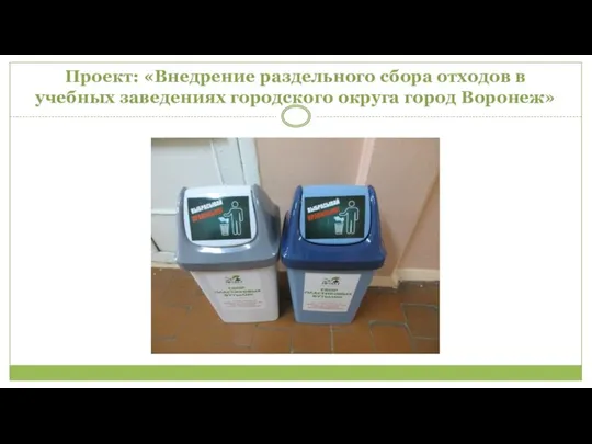 Проект: «Внедрение раздельного сбора отходов в учебных заведениях городского округа город Воронеж»