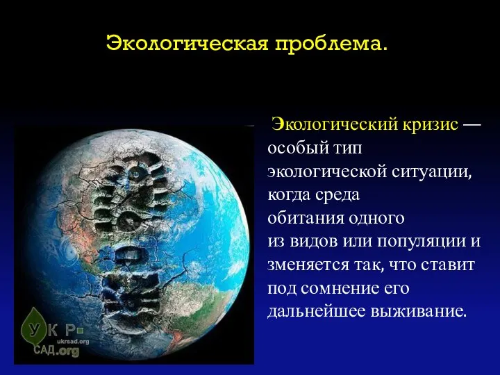 Экологическая проблема. Экологический кризис — особый тип экологической ситуации, когда среда