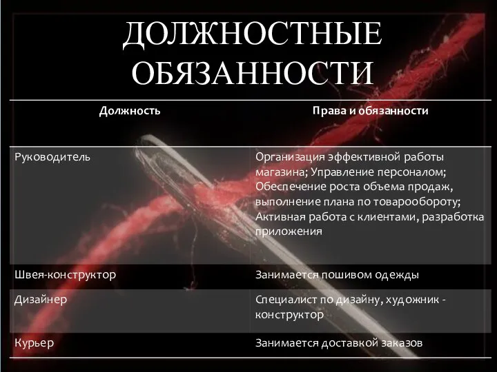 ДОЛЖНОСТНЫЕ ОБЯЗАННОСТИ