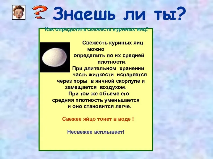 Знаешь ли ты? Как определить свежесть куриных яиц? Свежесть куриных яиц