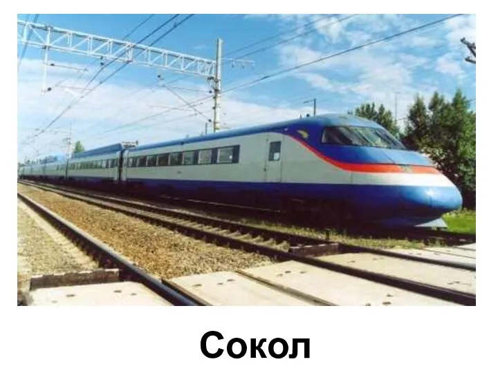 Сокол Сокол.