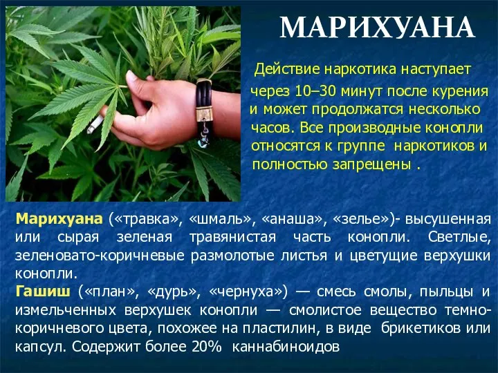 МАРИХУАНА Действие наркотика наступает через 10–30 минут после курения и может