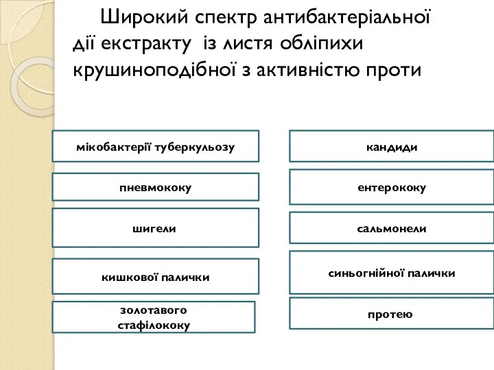 Широкий спектр антибактеріальної дії екстракту із листя обліпихи крушиноподібної з активністю