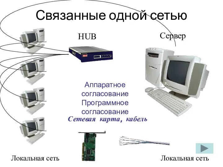 Связанные одной сетью Локальная сеть Локальная сеть Сетевая карта, кабель