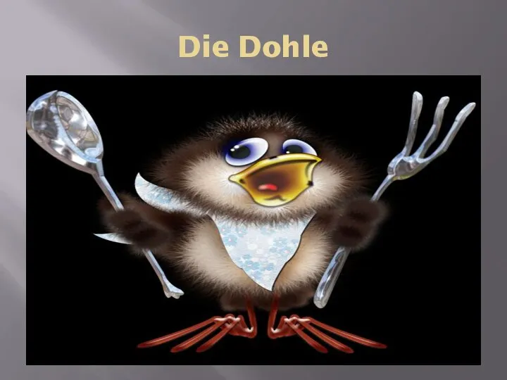 Die Dohle