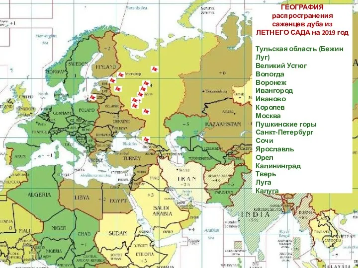 ГЕОГРАФИЯ распространения саженцев дуба из ЛЕТНЕГО САДА на 2019 год Тульская