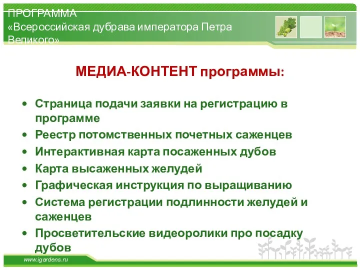 МЕДИА-КОНТЕНТ программы: Страница подачи заявки на регистрацию в программе Реестр потомственных