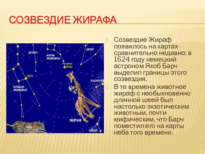 СОЗВЕЗДИЕ ЖИРАФА Созвездие Жираф появилось на картах сравнительно недавно: в 1624