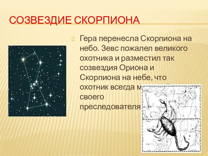 СОЗВЕЗДИЕ СКОРПИОНА Гера перенесла Скорпиона на небо. Зевс пожалел великого охотника