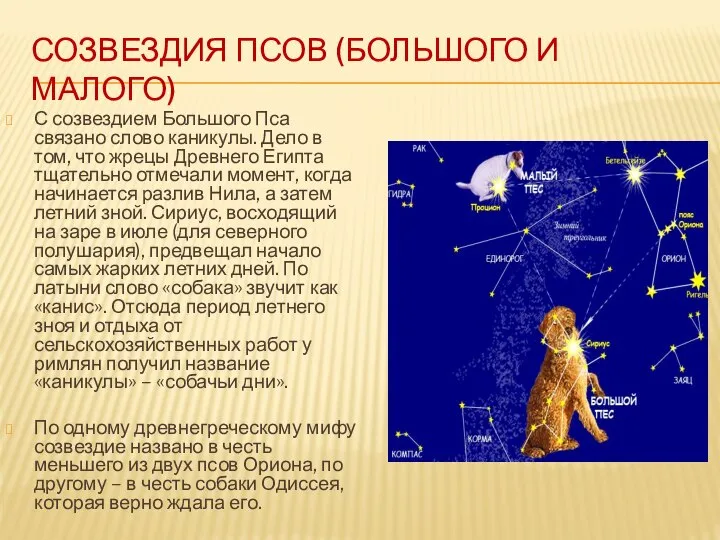 СОЗВЕЗДИЯ ПСОВ (БОЛЬШОГО И МАЛОГО) С созвездием Большого Пса связано слово