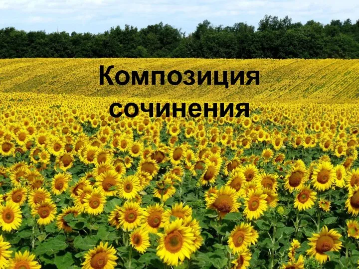 Композиция сочинения