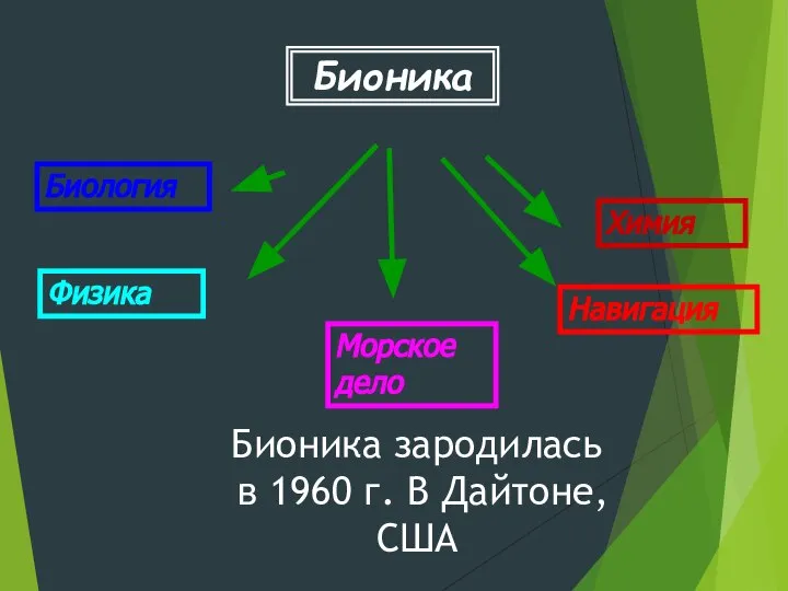 Бионика Биология Химия Физика Навигация Морское дело Бионика зародилась в 1960 г. В Дайтоне, США