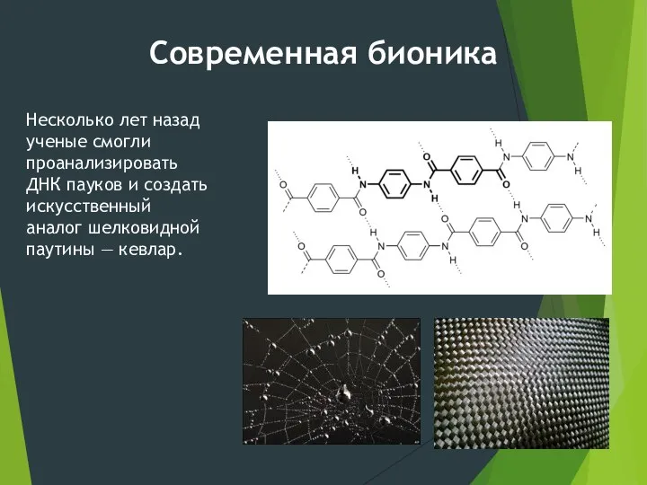 Несколько лет назад ученые смогли проанализировать ДНК пауков и создать искусственный