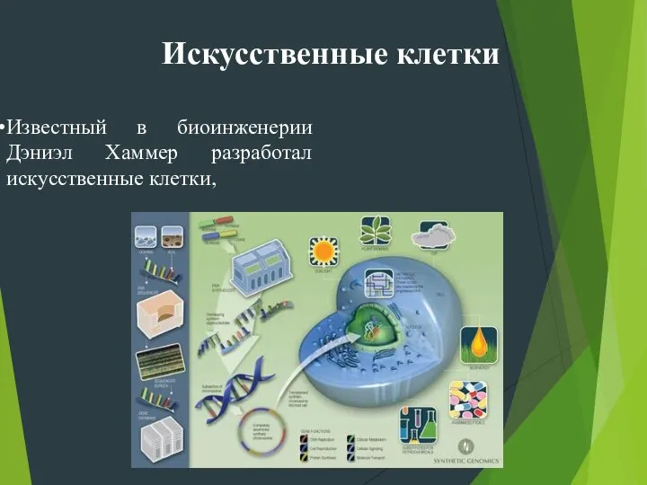 Известный в биоинженерии Дэниэл Хаммер разработал искусственные клетки, Искусственные клетки