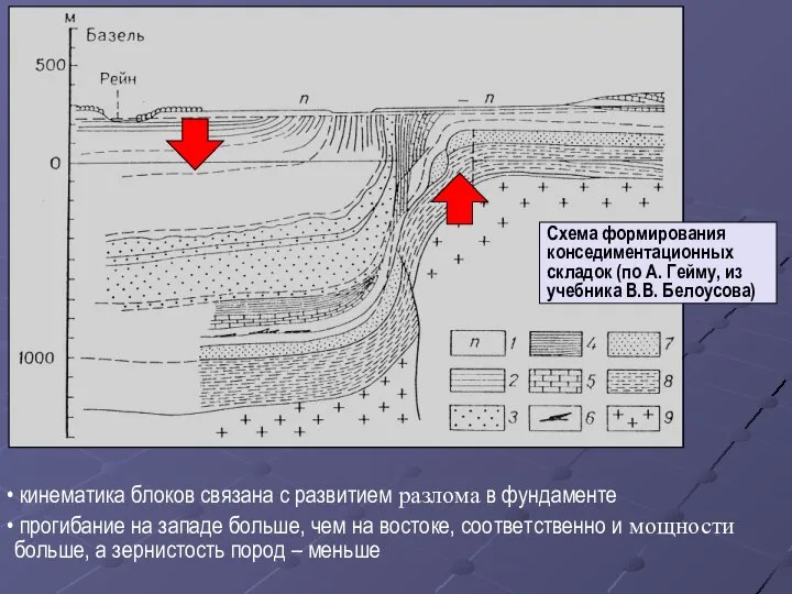 Схема формирования конседиментационных складок (по А. Гейму, из учебника В.В. Белоусова)