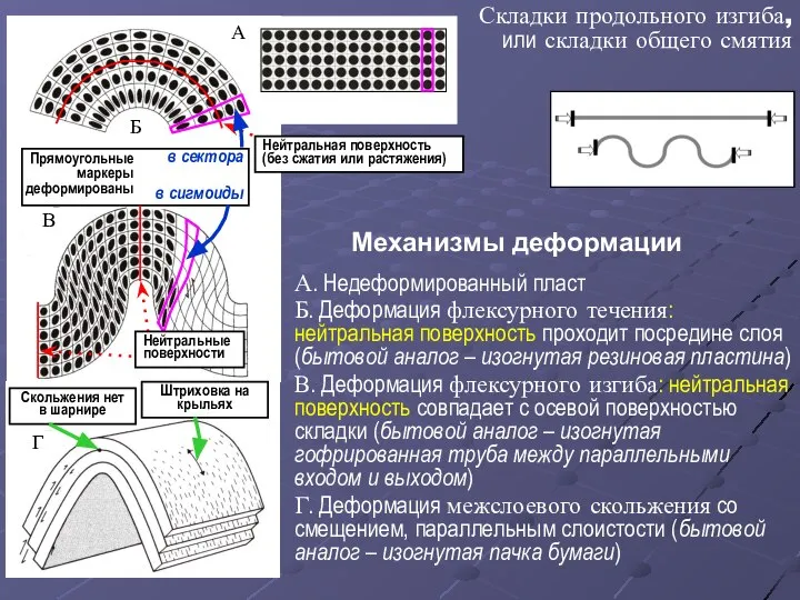 А. Недеформированный пласт Б. Деформация флексурного течения: нейтральная поверхность проходит посредине