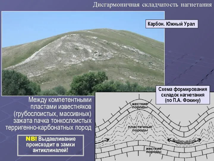 Дисгармоничная складчатость нагнетания Между компетентными пластами известняков (грубослоистых, массивных) зажата пачка