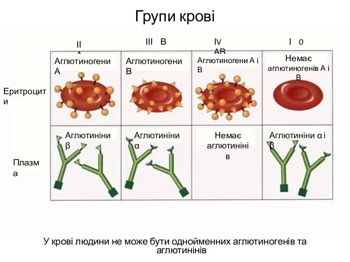 Групи крові У крові людини не може бути однойменних аглютиногенів та