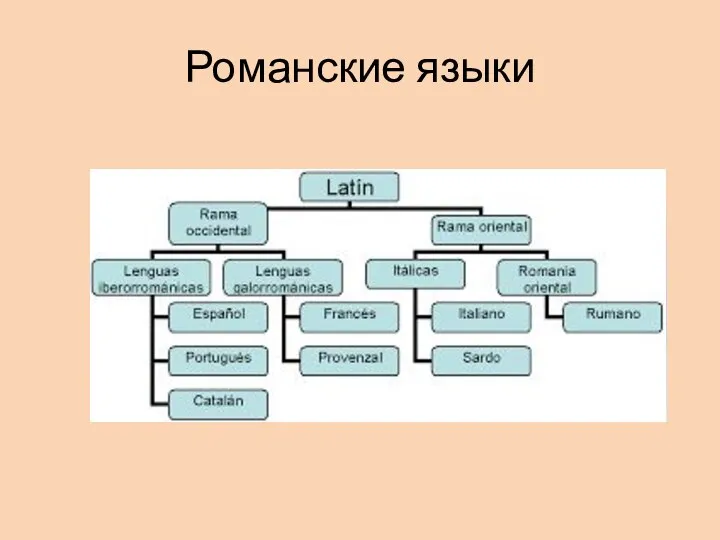 Романские языки