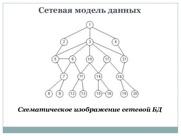 Сетевая модель данных Схематическое изображение сетевой БД