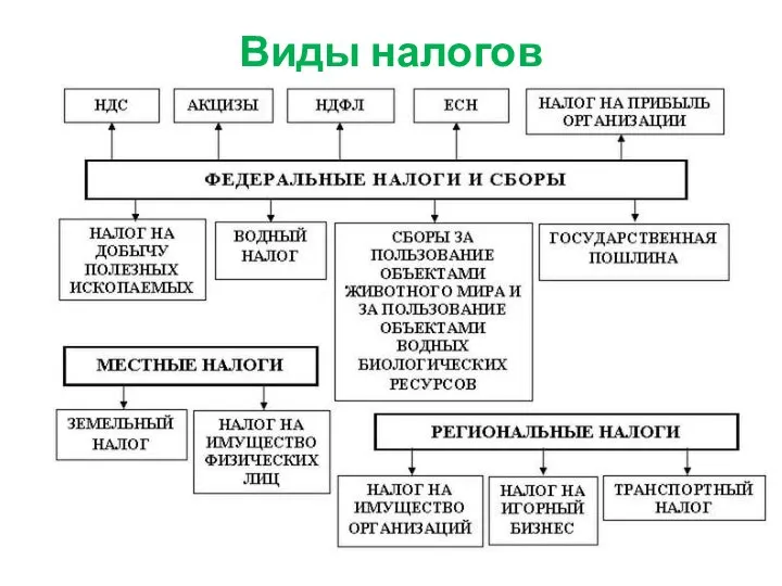 Виды налогов