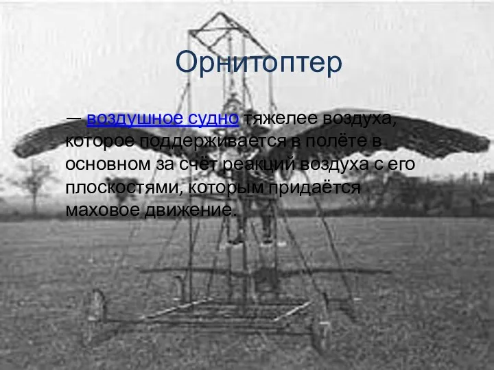 Орнитоптер Орнитоптер — воздушное судно тяжелее воздуха, которое поддерживается в полёте