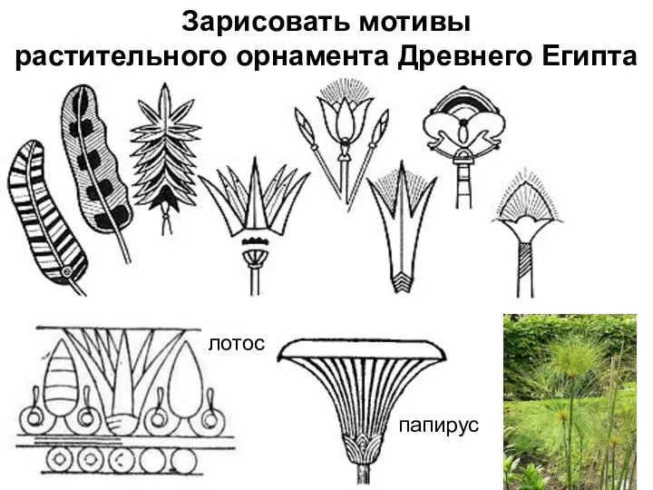 Зарисовать мотивы растительного орнамента Древнего Египта в Древнем Египте папирус лотос